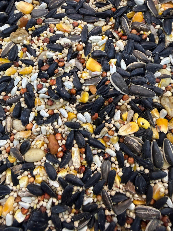 Premium Birdseed